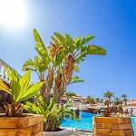 Paraiso Royal Дом отдыха Арона